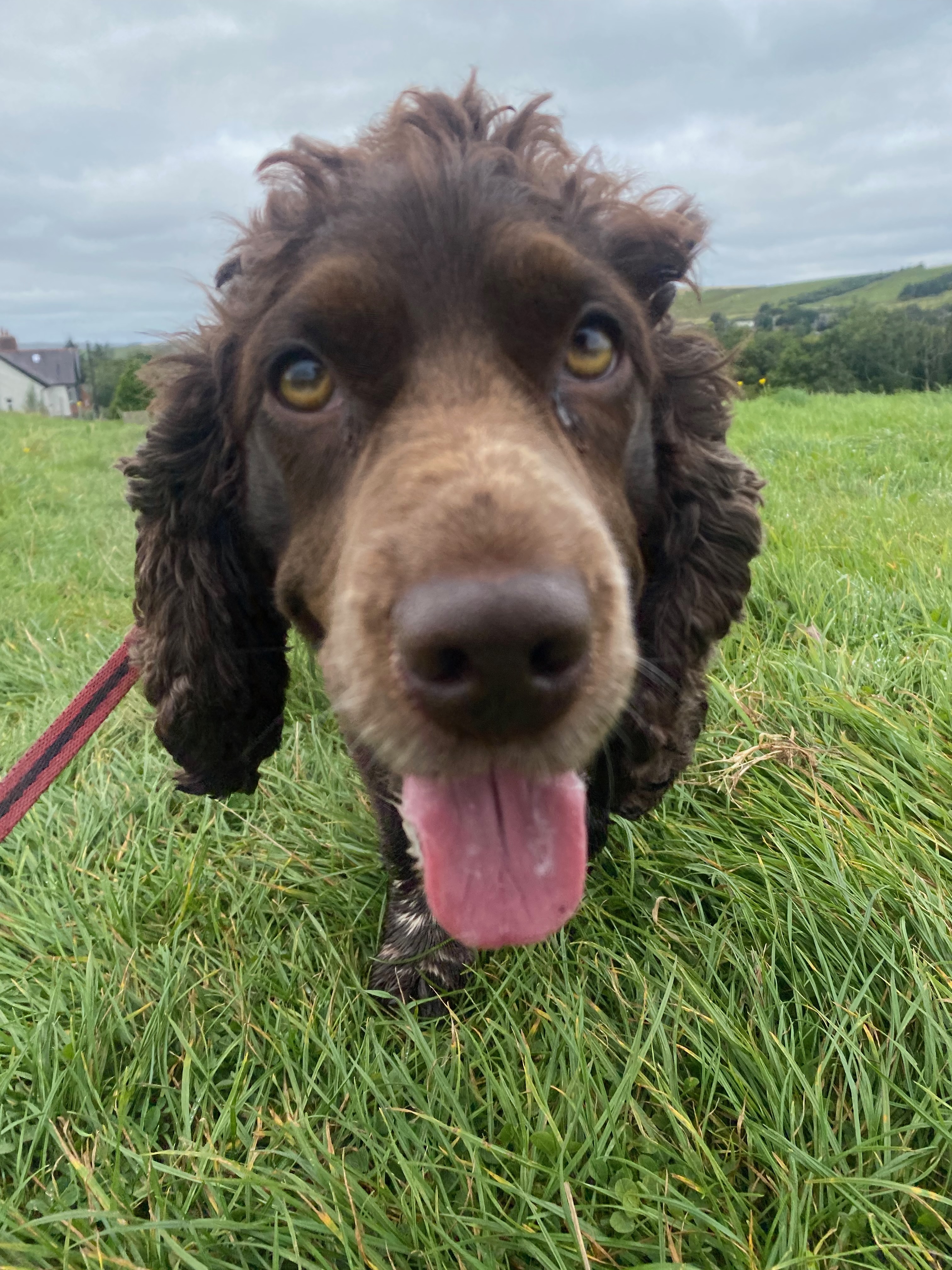 Muddy buddy exploring